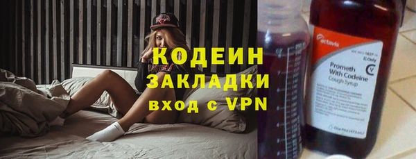 прущие грибы Аркадак