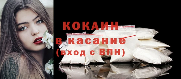 прущие грибы Аркадак
