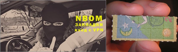 прущие грибы Аркадак