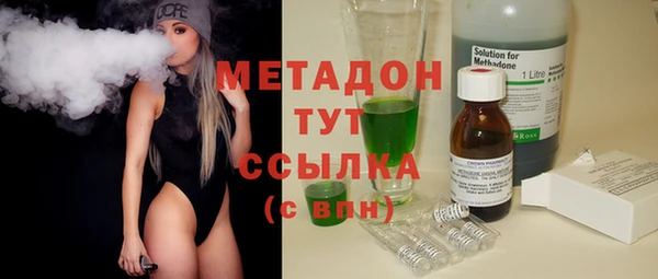 прущие грибы Аркадак