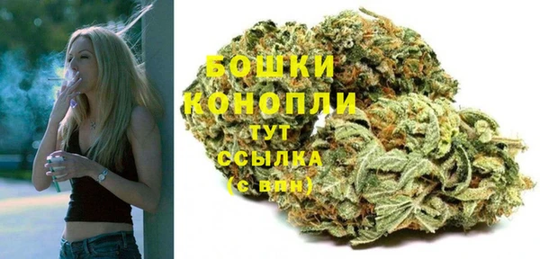 твердый Арсеньев