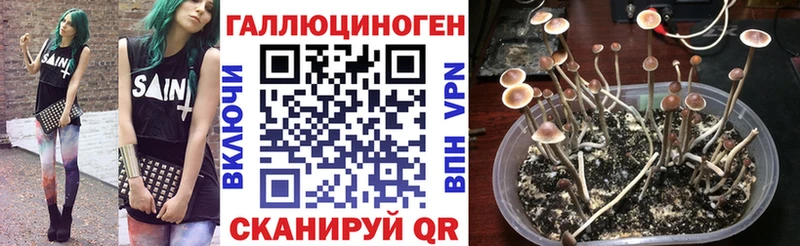 купить наркотик  гидра ТОР  Галлюциногенные грибы ЛСД  Солнечногорск 